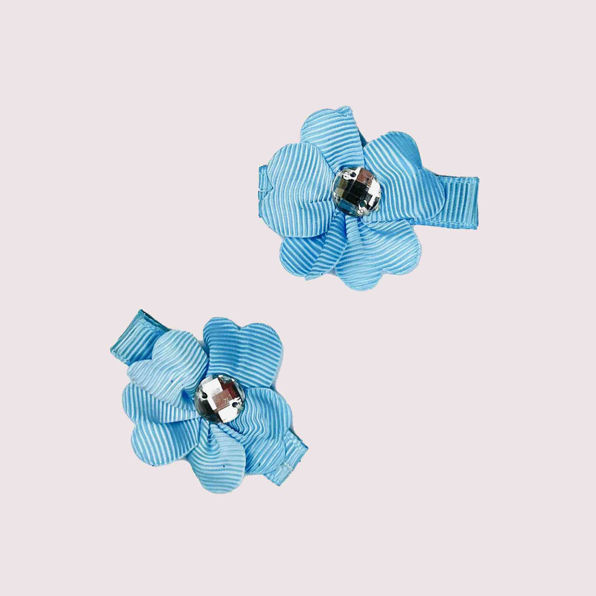 Blue Flower Snap Clip Set