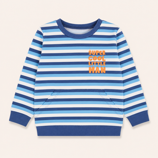 Blue Striped Sweater Sweatshirt