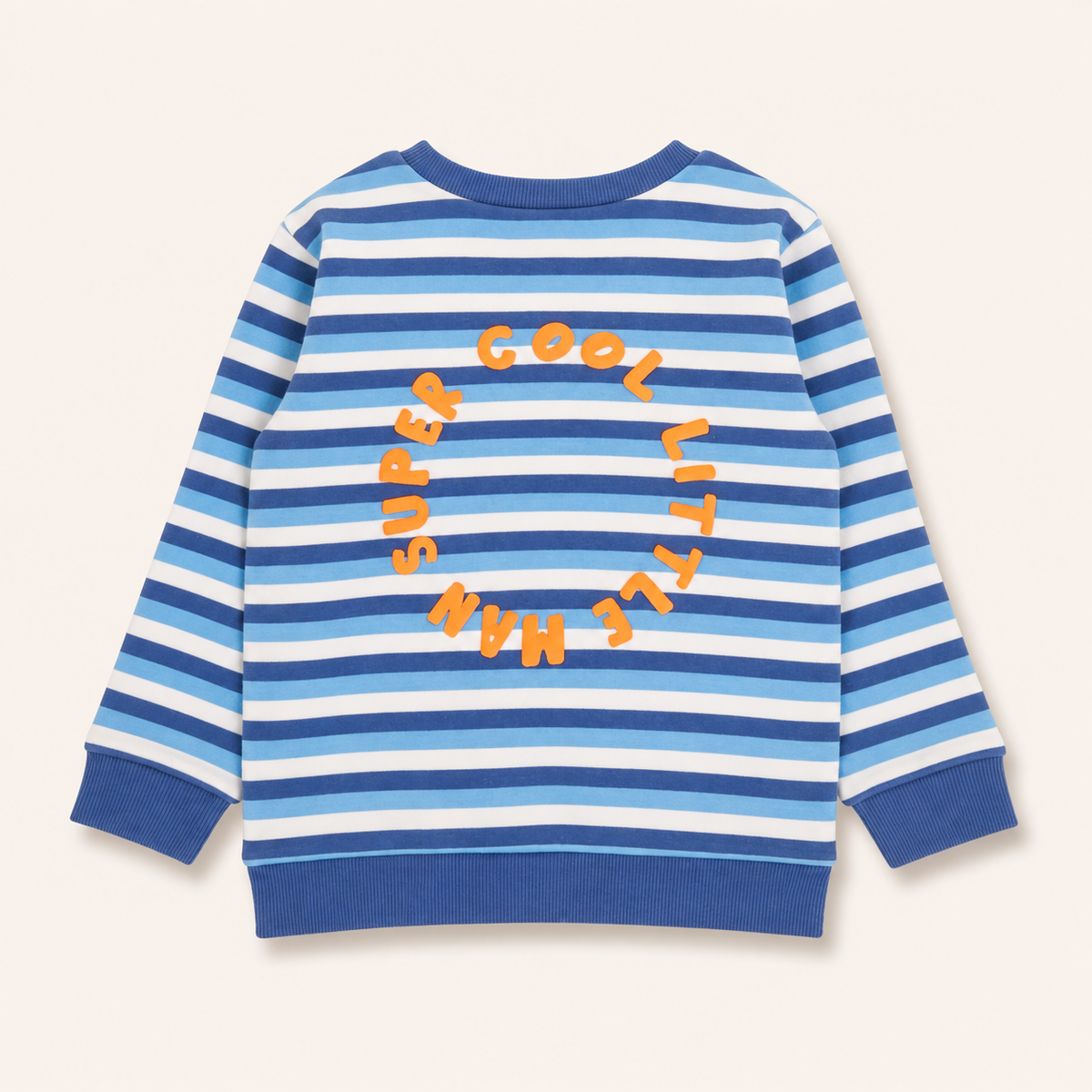 Blue Striped Sweater Sweatshirt