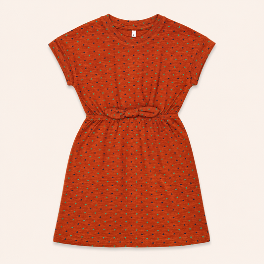 Brown Hearts Frock