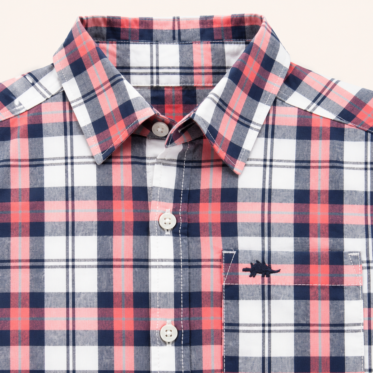 Carter's Blue Checkered Shirt